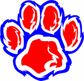 Cats of the Month